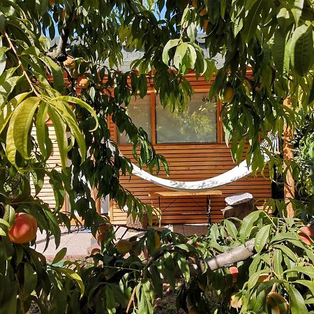 コンスタンツァ Relax Eaza - Casa Cu Hamacヴィラ エクステリア 写真