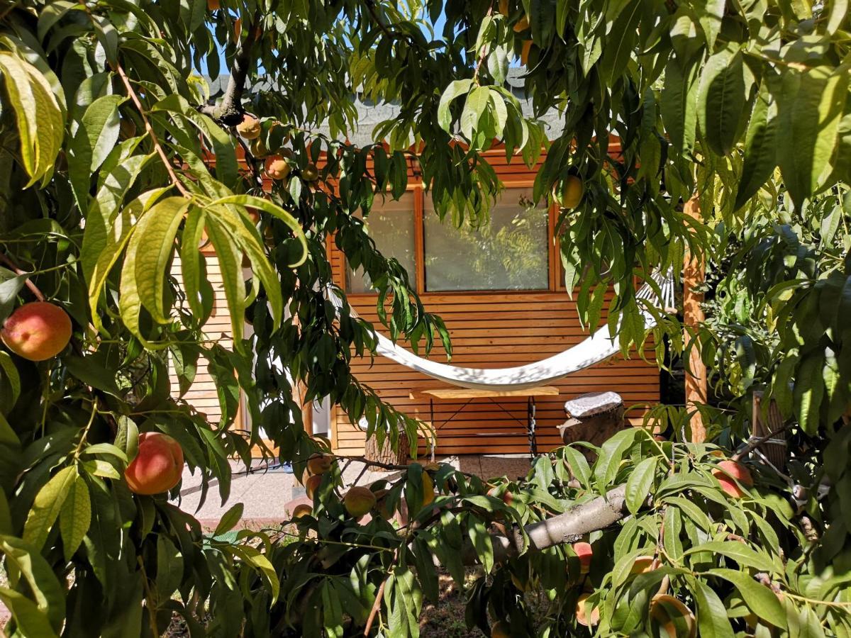 コンスタンツァ Relax Eaza - Casa Cu Hamacヴィラ エクステリア 写真