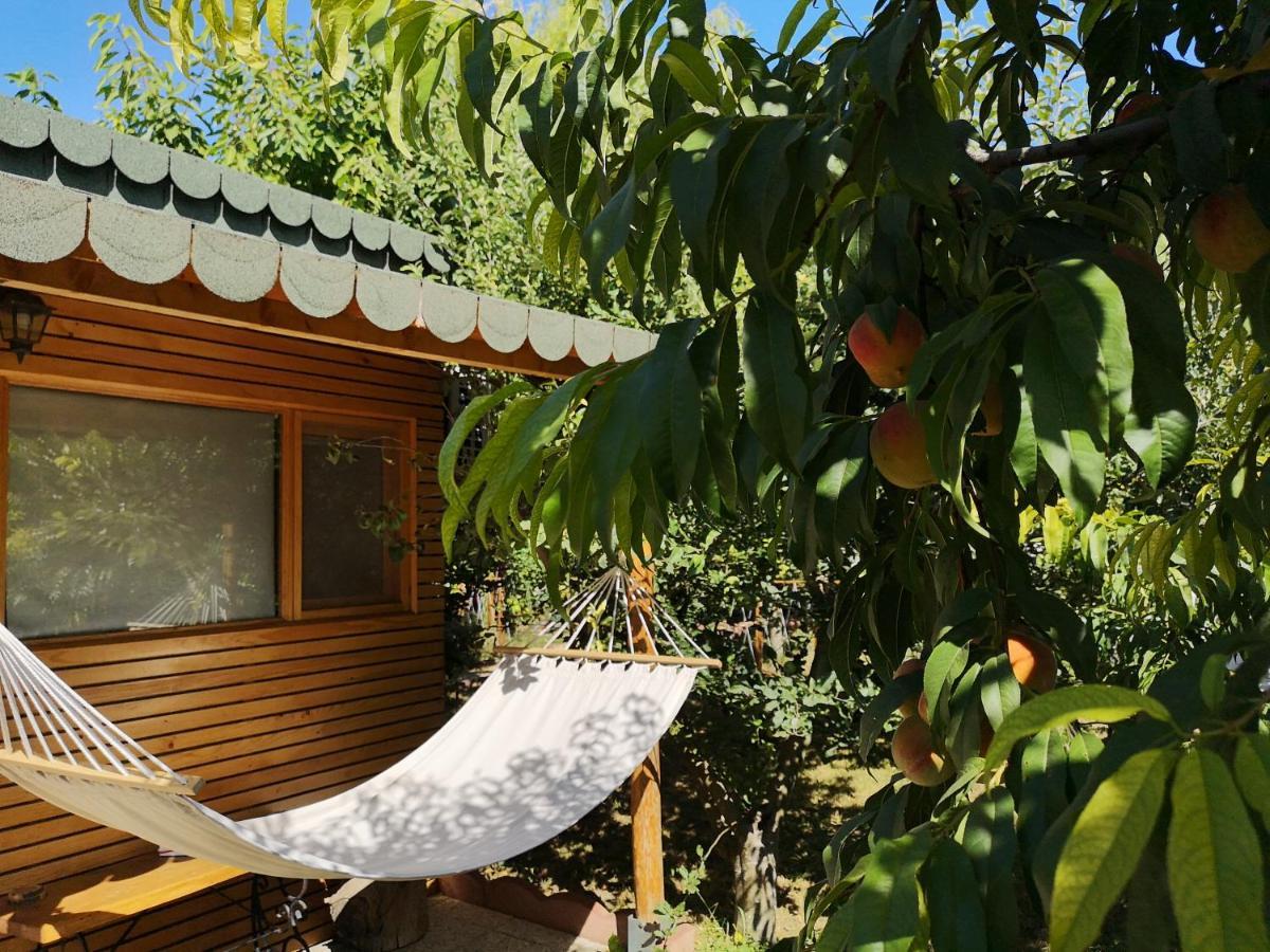コンスタンツァ Relax Eaza - Casa Cu Hamacヴィラ エクステリア 写真