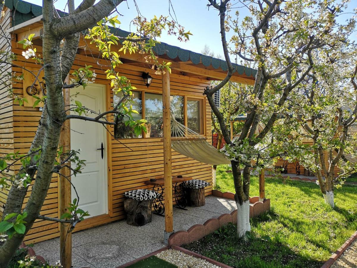 コンスタンツァ Relax Eaza - Casa Cu Hamacヴィラ エクステリア 写真
